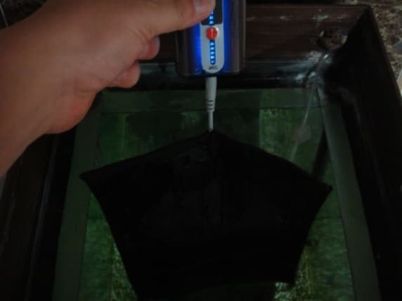 DNA vlákno ponořené ve vodě